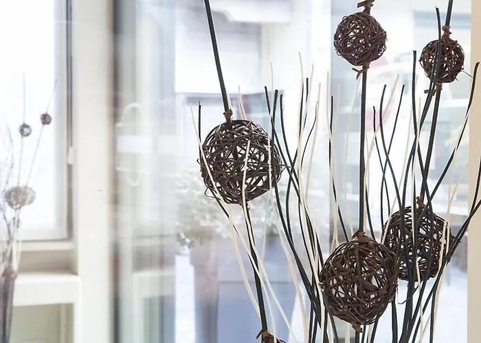 普林马维拉酒店 3* 斯特雷萨